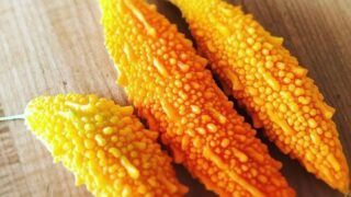 完熟ゴーヤ食べますか？？